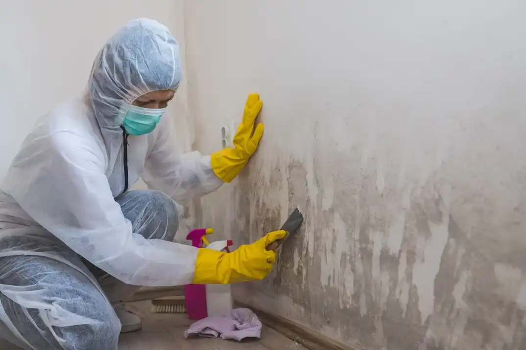 water damage restoration service San Souci